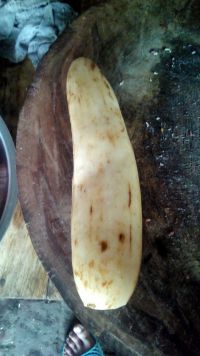 猪肉莲藕水饺