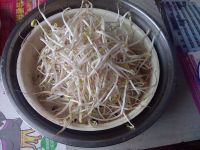 韭菜炒豆芽