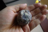 蓝莓果仁馅