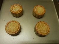 金桔月饼