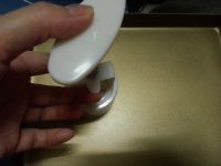 金桔月饼