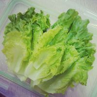 寝室餐  生菜三明治