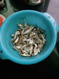 回锅煸小鱼