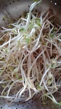 豆芽肉片汤