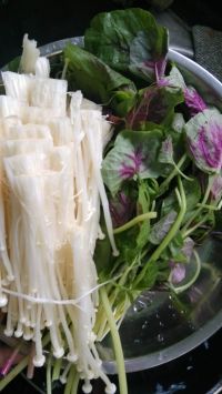 昂刺鱼苋菜豆腐汤