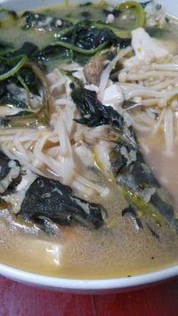 昂刺鱼苋菜豆腐汤