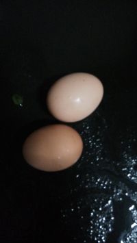 香干蒜苗炒鸡蛋