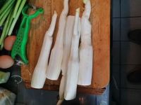 茭白丝