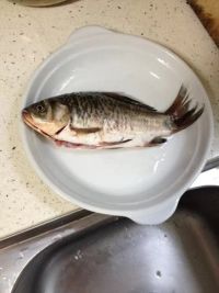 蒸鱼