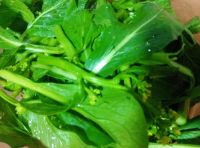 蒜蓉炒菜心