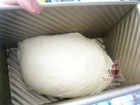 小海螺面包