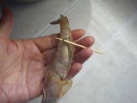 蒜香芝士焗大虾
