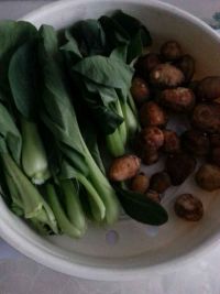 芋头青菜饭