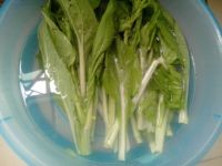 蚝油菜心