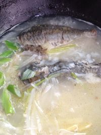 鲫鱼萝卜丝汤