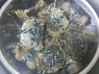 清蒸大闸蟹