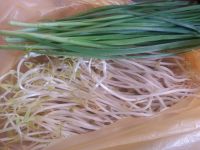 豆芽炒韭菜