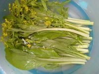 菜心炒鸭丁