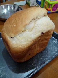 蔓越莓干面包