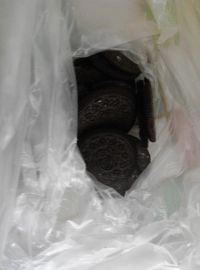 蘑菇盆栽挞