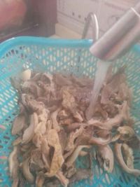 十白菜肚肺汤