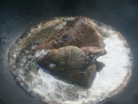 红烧石斑鱼