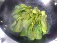 蚝油蘑菇菜心