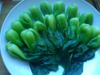 蚝油蘑菇菜心