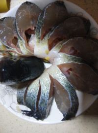 孔雀开屏鱼