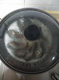 孔雀开屏鱼