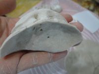 荞面萝卜大蒸饺