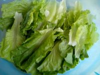 春菜炒香菇