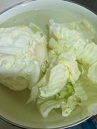 香菇卷心菜水饺