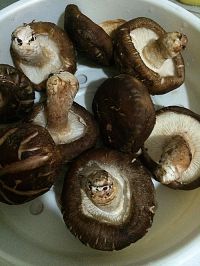 香菇卷心菜水饺