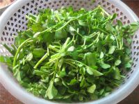 西洋菜筒骨汤