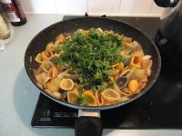 Vegemite煮五色贝壳粉