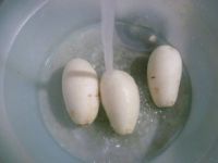 豆结烧萝卜