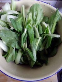 青菜炖排骨