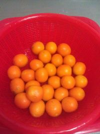 蜜饯金桔