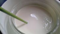 芒果蜂蜜酸奶