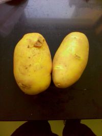 土豆饼