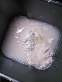 弹弹吐司