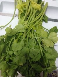 芹菜炒牛肉