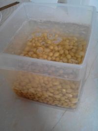 自制内酯豆腐