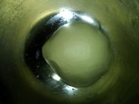 蓝莓面包