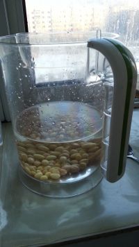 黑芝麻黄豆豆浆