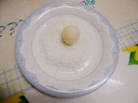 蛋白椰丝球