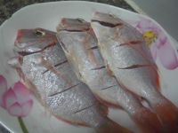 干煎红棕鱼