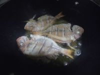 干煎红棕鱼