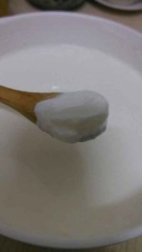 自制老酸奶